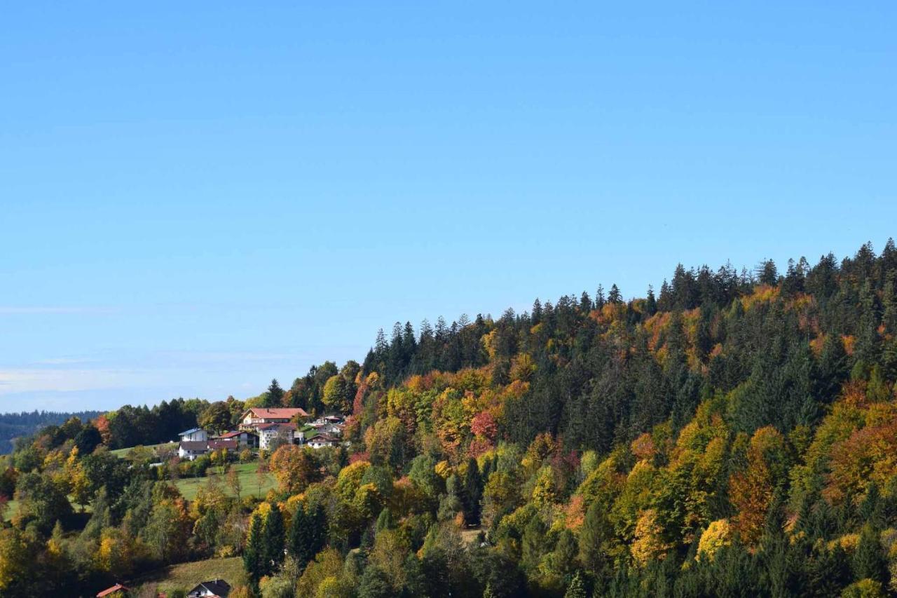 Ferienwohnungen Geiger Bodenmais Exterior foto